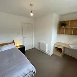 Appartamento Student Village 5 Minutes From Centre Limerick Junction